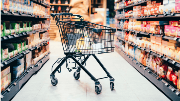 Chedraui Grocery Store