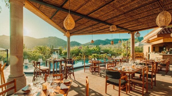 *Photo credit: Torote Restaurant*