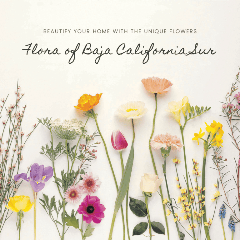 flora