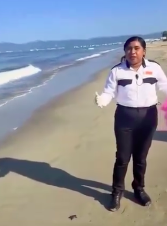 Video Raises Questions After Security Worker Is Seen Handling Sea Turtle Hatchlings in Cabo San Lucas